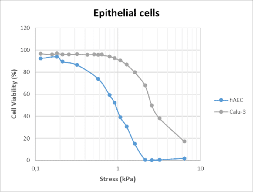 epithelial cells